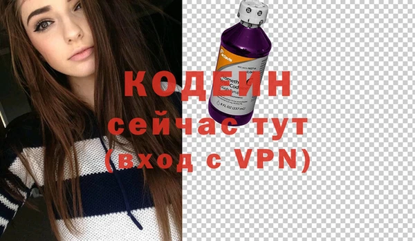 индика Кулебаки