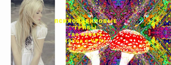 таблы Лиски