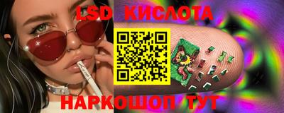 винт Кимры
