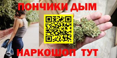 твердый Кингисепп