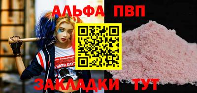 твердый Кингисепп