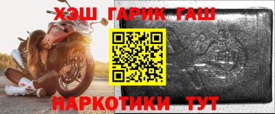 твердый Кингисепп