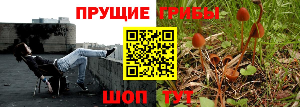 Мелеуз  Псилоцибиновые грибы Psilocybe  Вход с VPN  Псилоцибиновые грибы MAGIC MUSHROOMS 